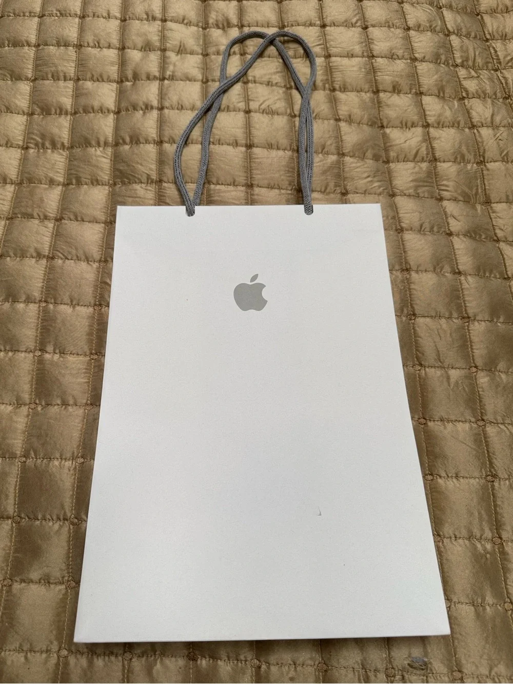 Apple shopping bag gift bag